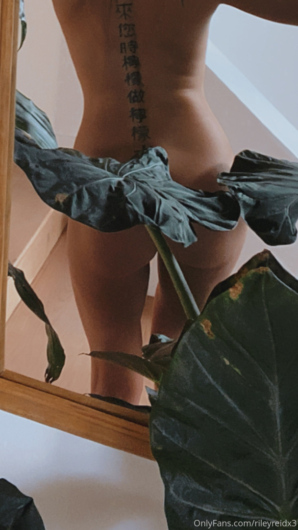 Photo by rileyreidx3 published on October 17,2023 05:35:00 - BestThots
