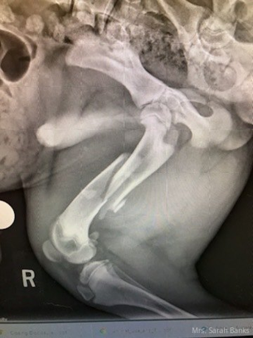 Photo by thesarahbnkx published on July 29,2023 11:25:32 - BestThots