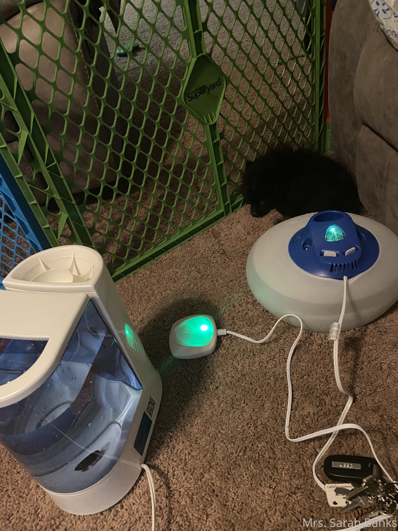 Photo by thesarahbnkx published on July 29,2023 11:26:50 - BestThots