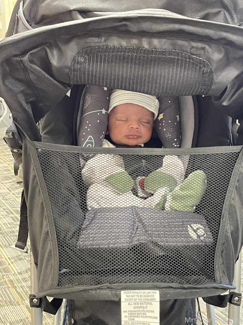 Photo by thesarahbnkx published on July 29,2023 11:27:39 - BestThots