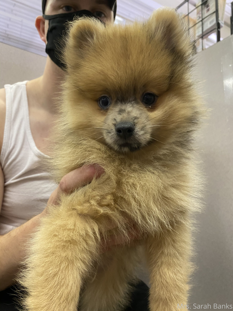 Photo by thesarahbnkx published on July 29,2023 11:28:39 - BestThots