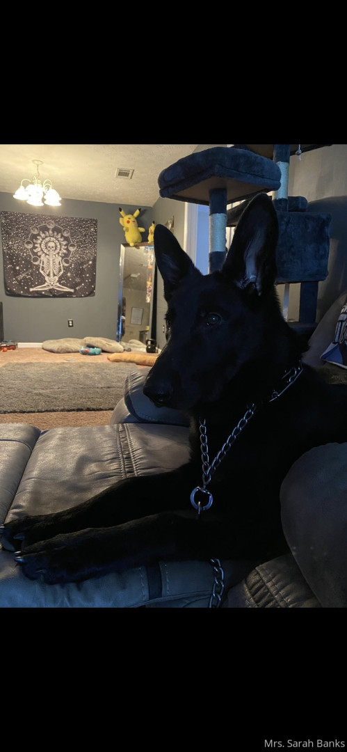 Photo by thesarahbnkx published on July 29,2023 11:29:40 - BestThots