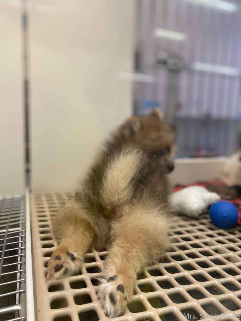 Photo by thesarahbnkx published on July 29,2023 11:31:34 - BestThots