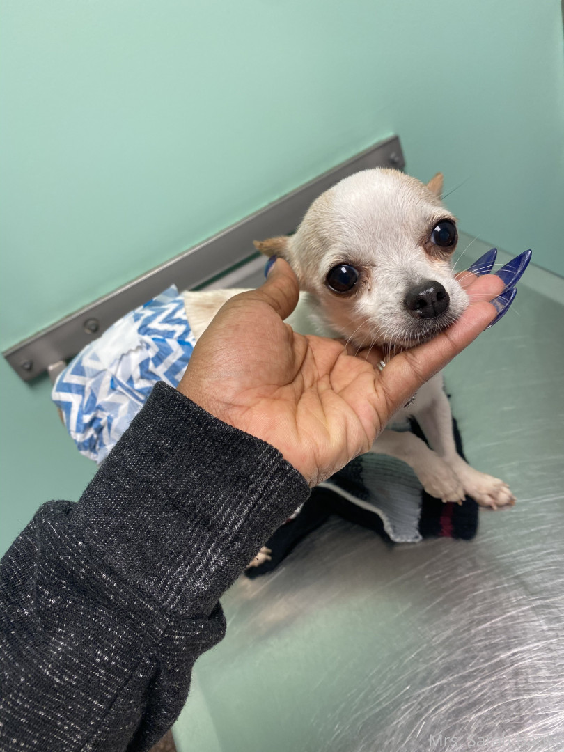 Photo by thesarahbnkx published on July 29,2023 11:31:50 - BestThots