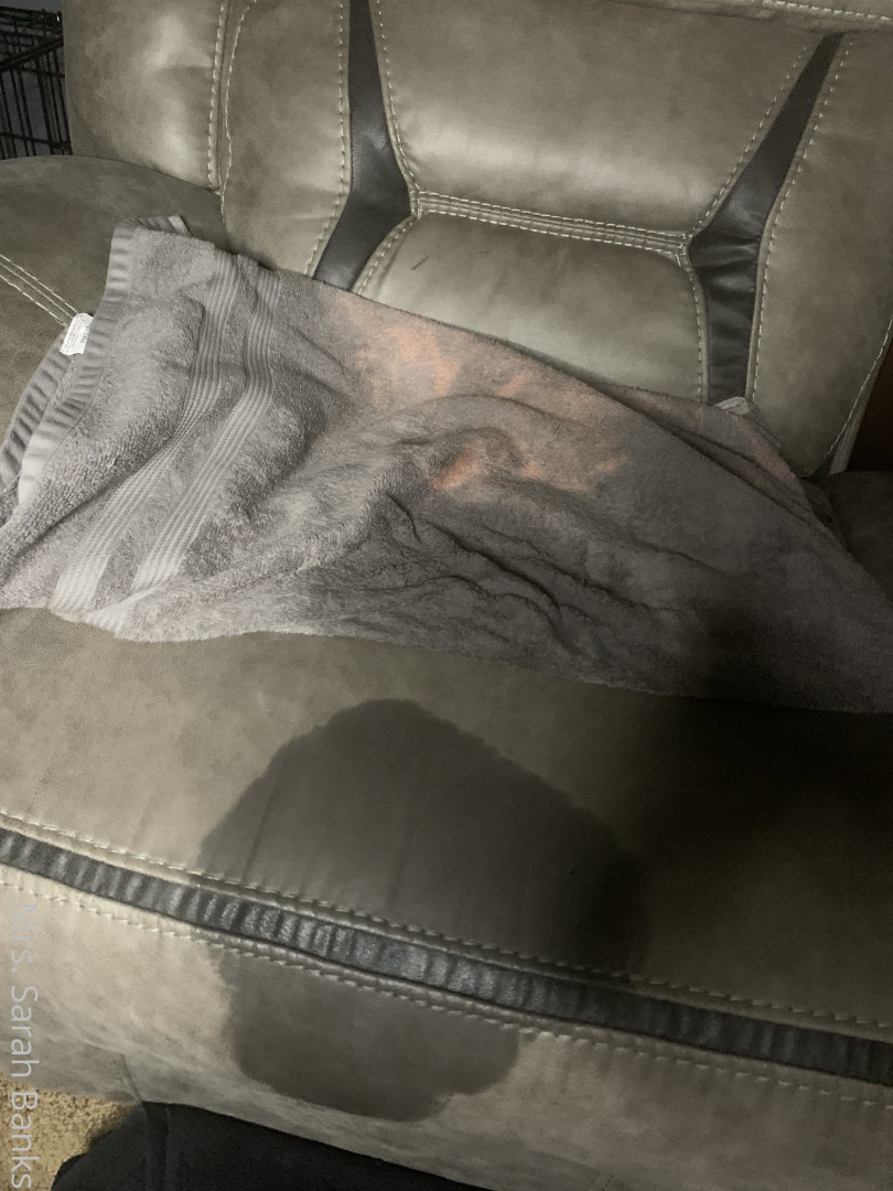 Photo by thesarahbnkx published on July 29,2023 11:32:12 - BestThots