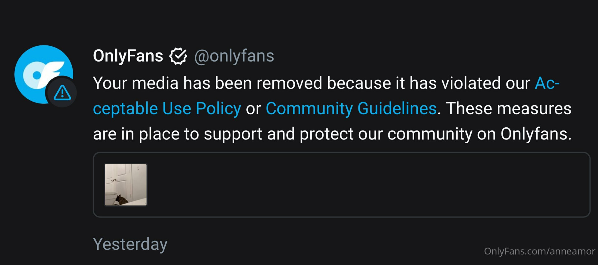 Photo by anneamor published on November 23,2023 02:20:34 - BestThots