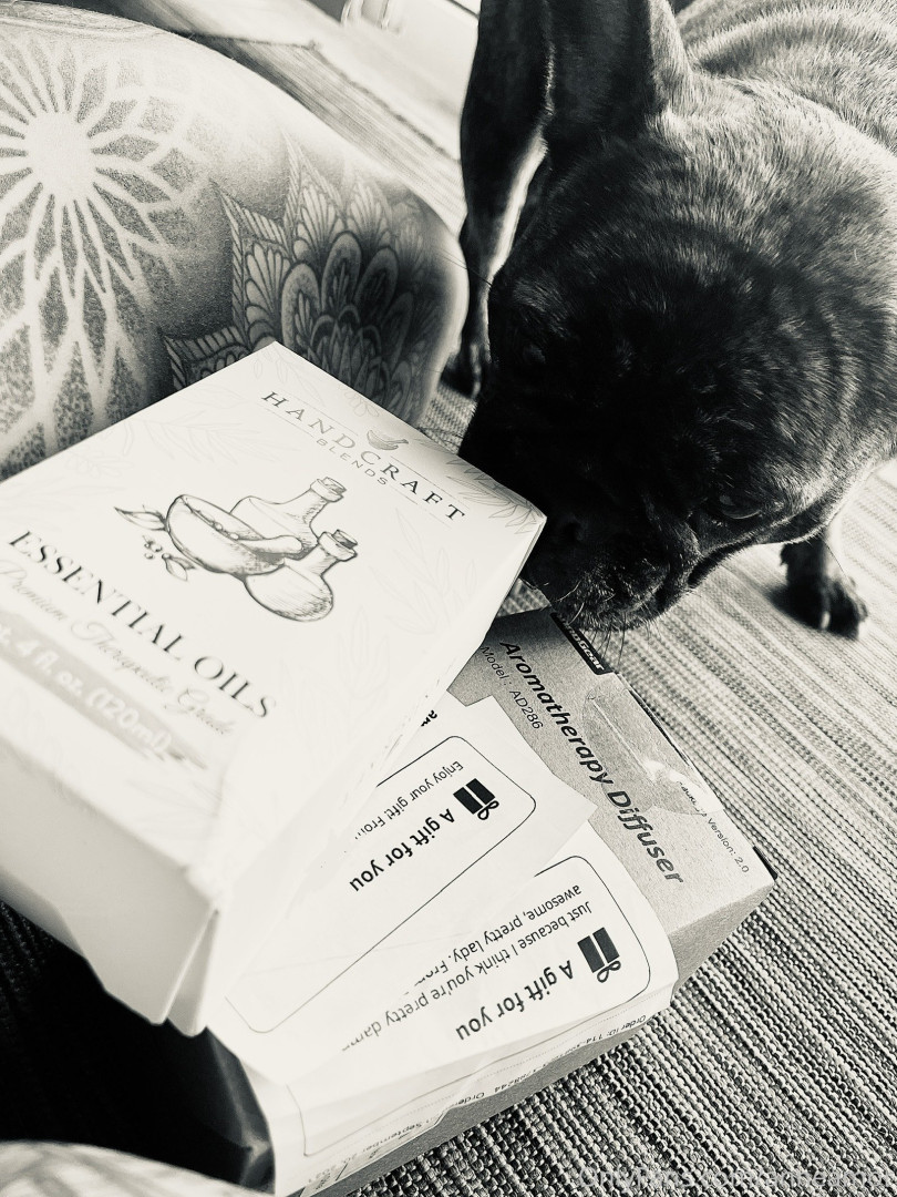 Photo by anneamor published on November 23,2023 02:21:08 - BestThots