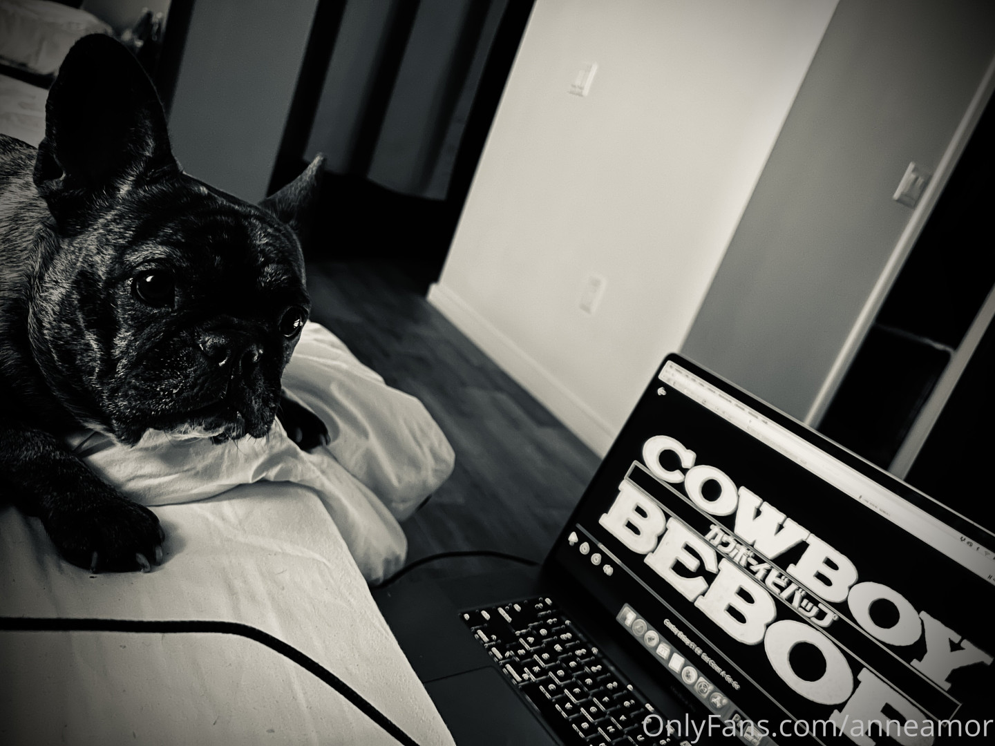 Photo by anneamor published on November 23,2023 02:21:21 - BestThots