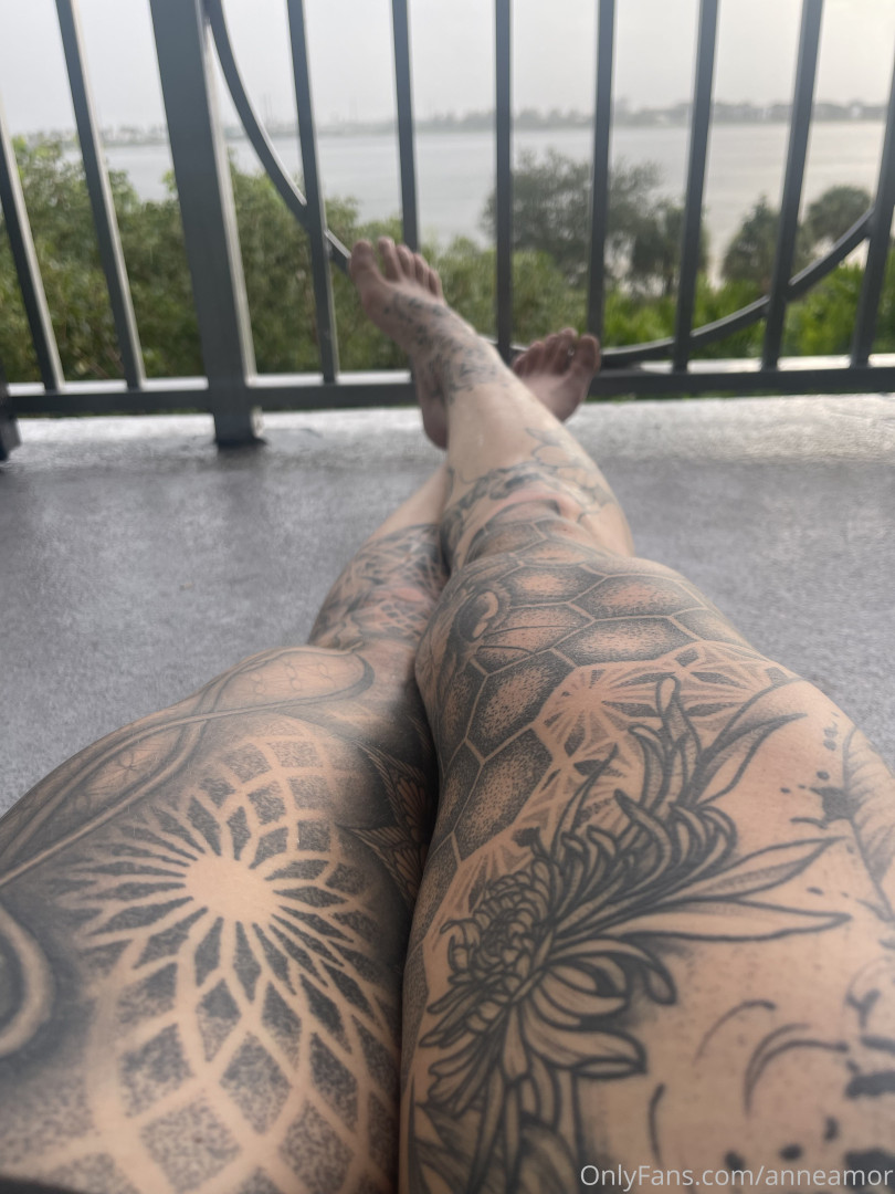 Photo by anneamor published on November 23,2023 02:22:26 - BestThots