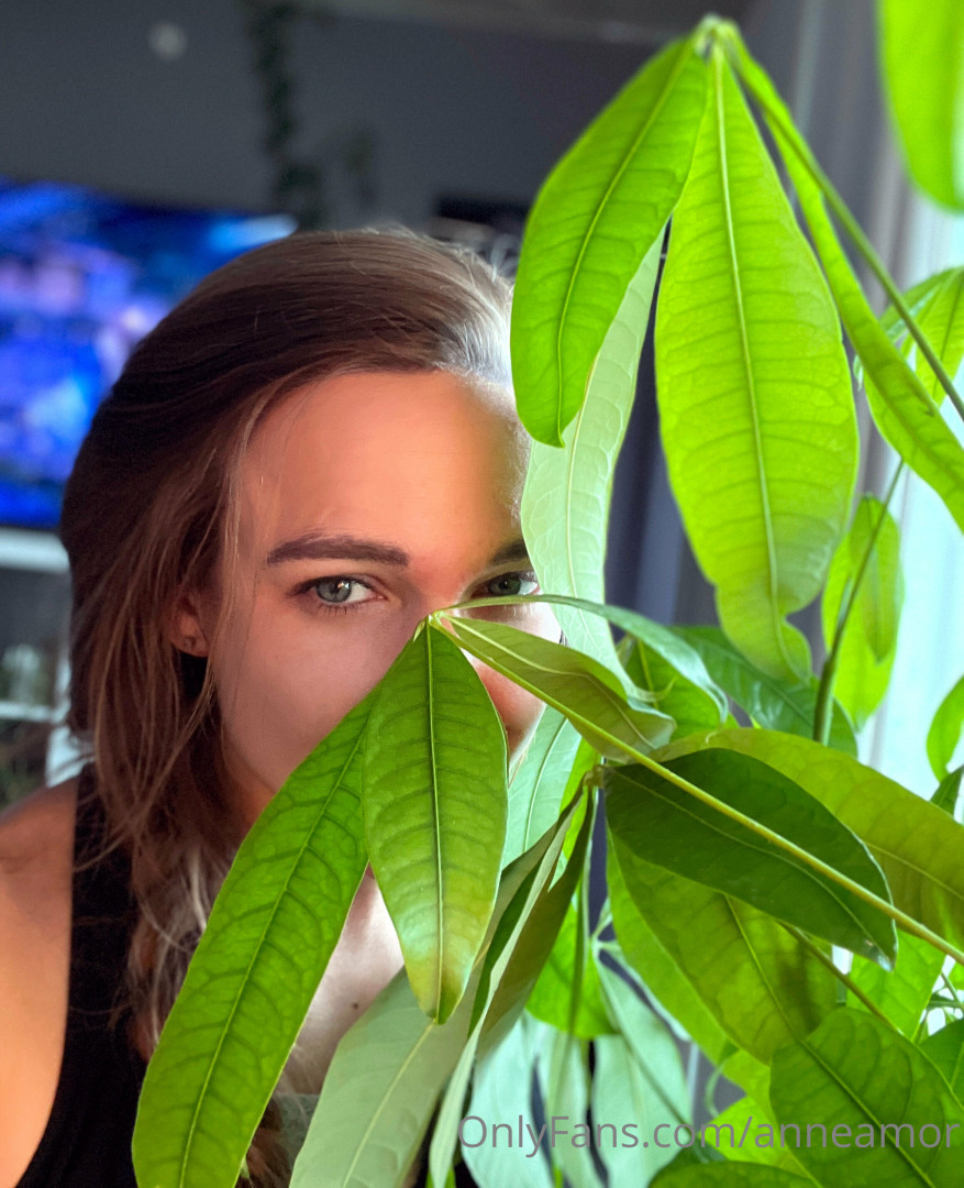 Photo by anneamor published on November 23,2023 02:23:55 - BestThots