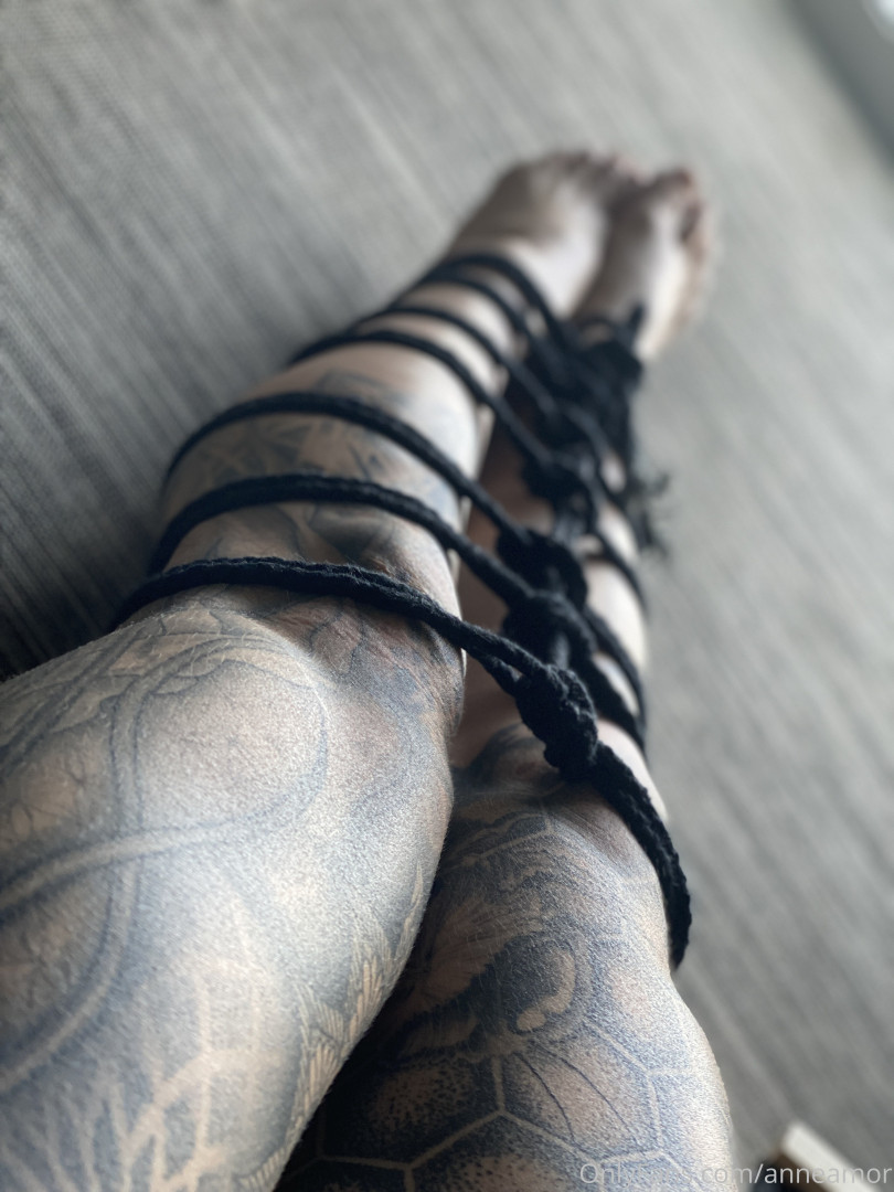 Photo by anneamor published on November 23,2023 02:23:56 - BestThots