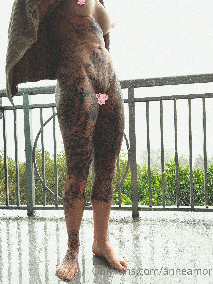 Photo by anneamor published on November 23,2023 02:24:00 - BestThots