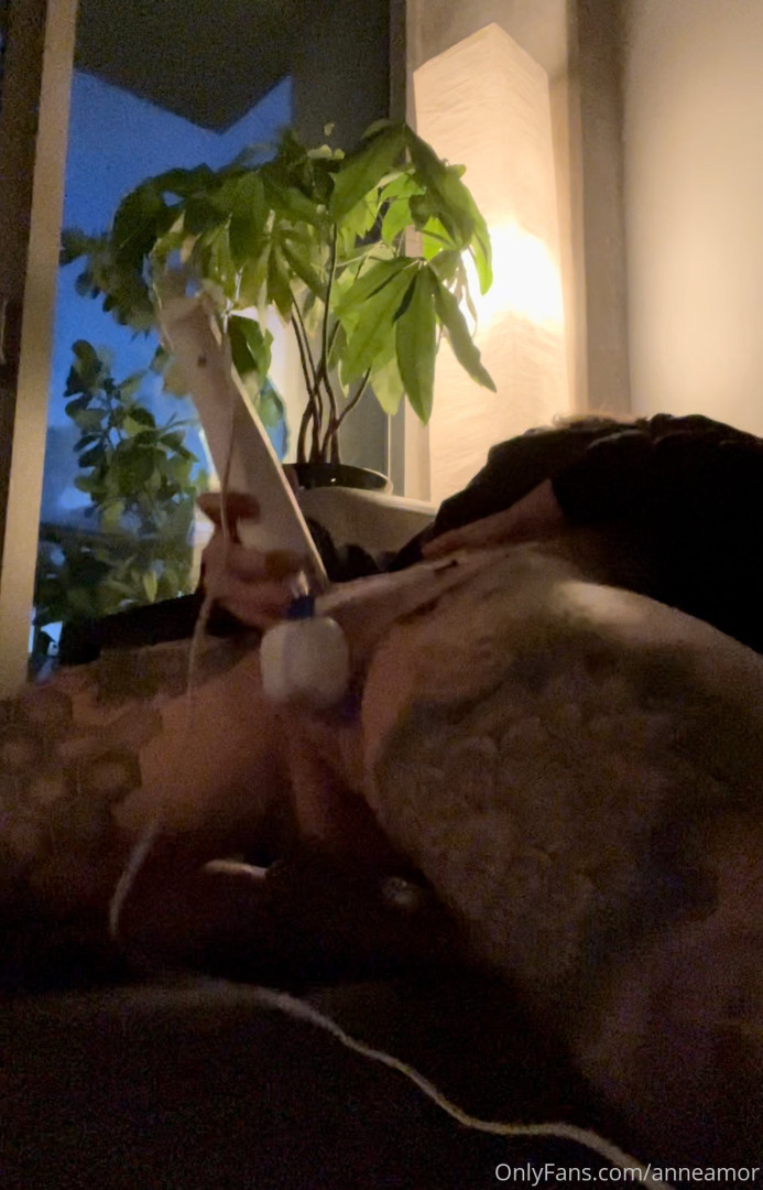 Photo by anneamor published on November 23,2023 02:25:34 - BestThots