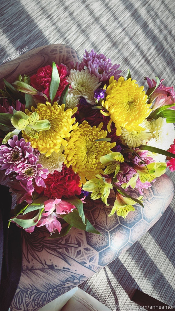 Photo by anneamor published on November 23,2023 02:26:29 - BestThots