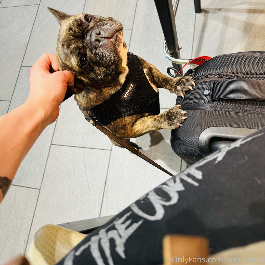 Photo by anneamor published on November 23,2023 02:27:25 - BestThots