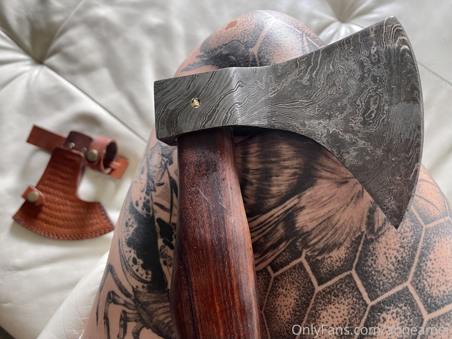 Photo by anneamor published on November 23,2023 02:28:00 - BestThots