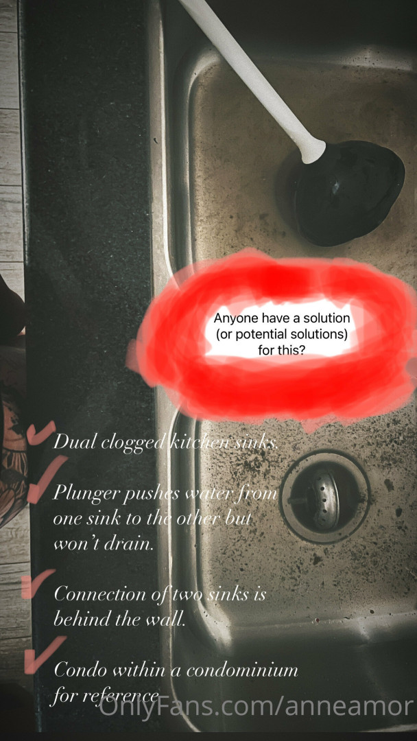 Photo by anneamor published on November 23,2023 02:29:55 - BestThots