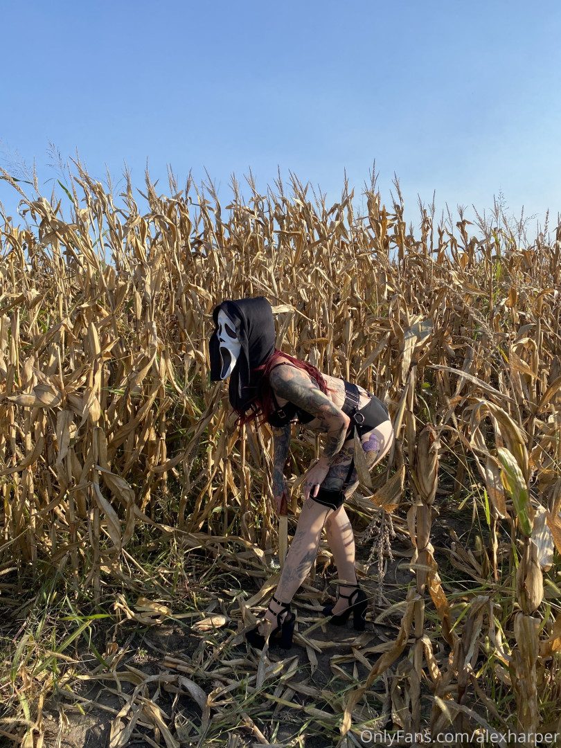 Photo by alexharper published on November 20,2023 04:26:53 - BestThots