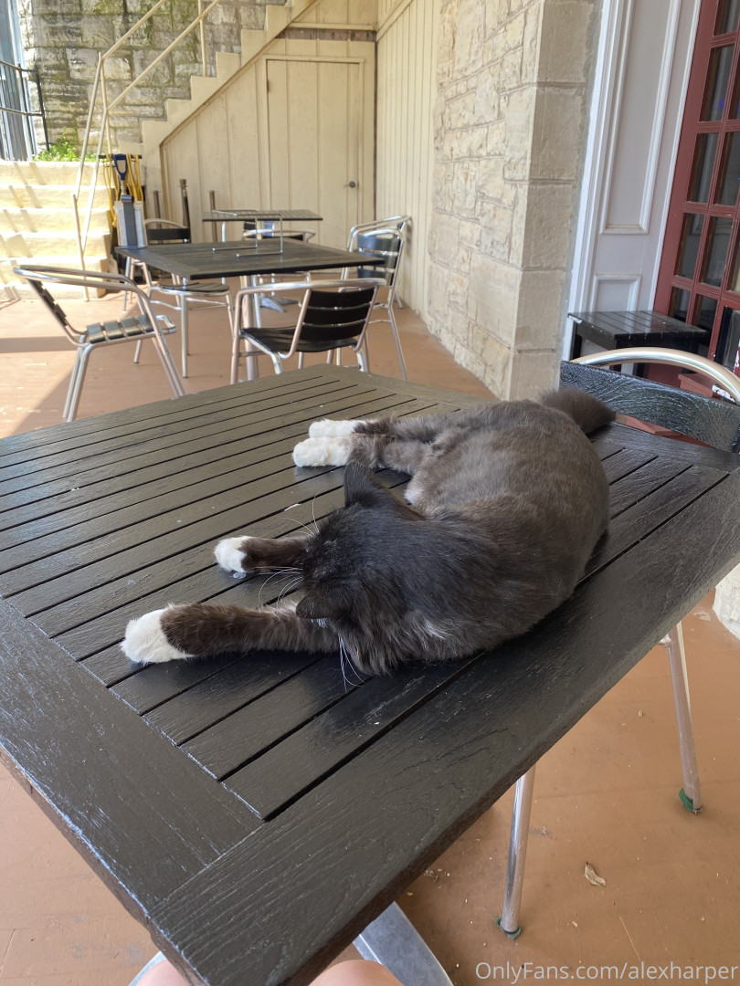 Photo by alexharper published on November 20,2023 04:26:56 - BestThots