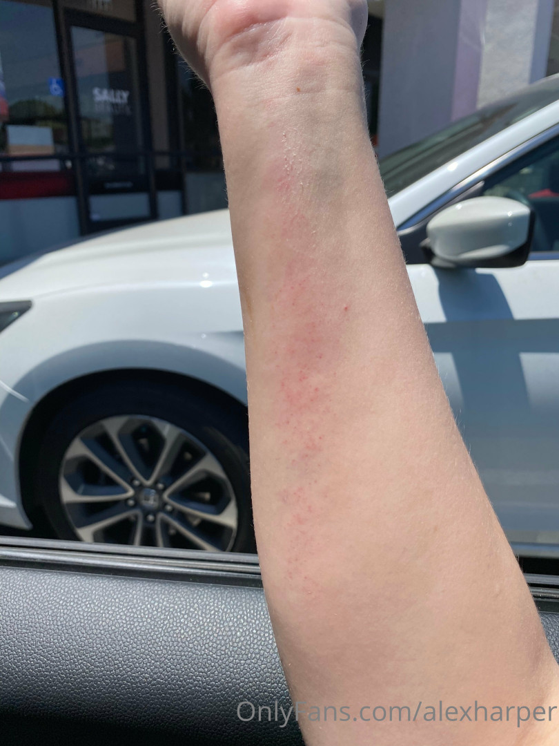 Photo by alexharper published on November 20,2023 04:27:01 - BestThots