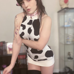 purrrveeives #6345448