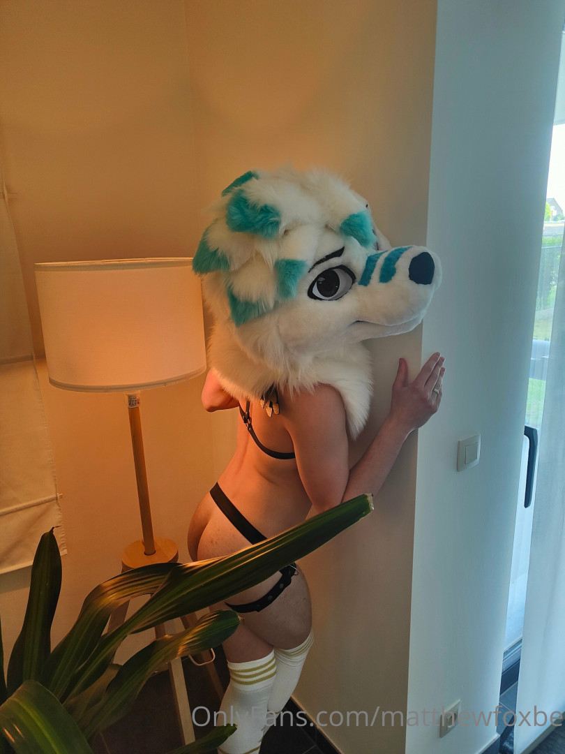Photo by matthewfoxbe published on July 7,2023 16:59:54 - BestThots