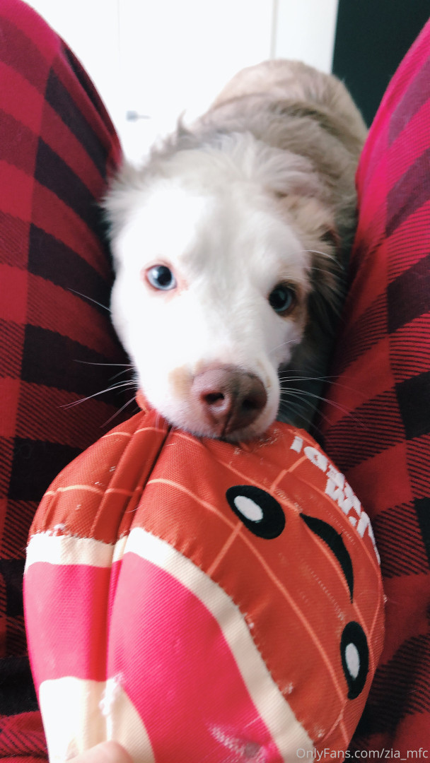 Photo by zia_mfc published on May 15,2023 15:33:21 - BestThots