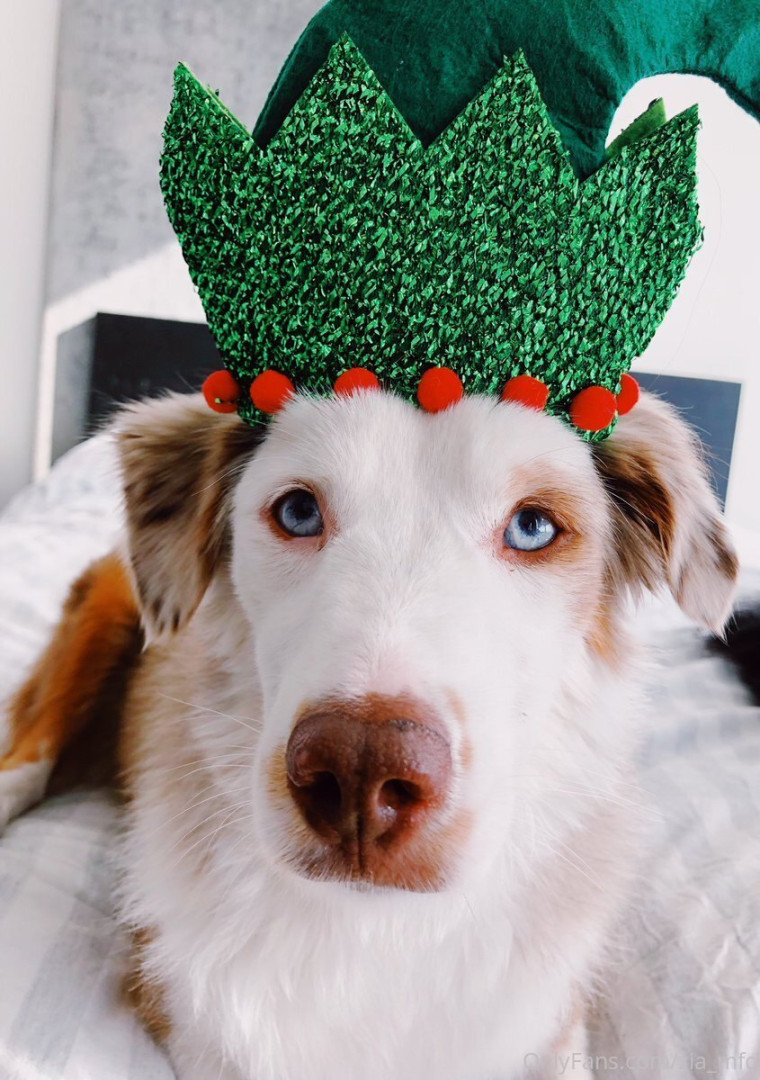 Photo by zia_mfc published on May 15,2023 15:34:17 - BestThots