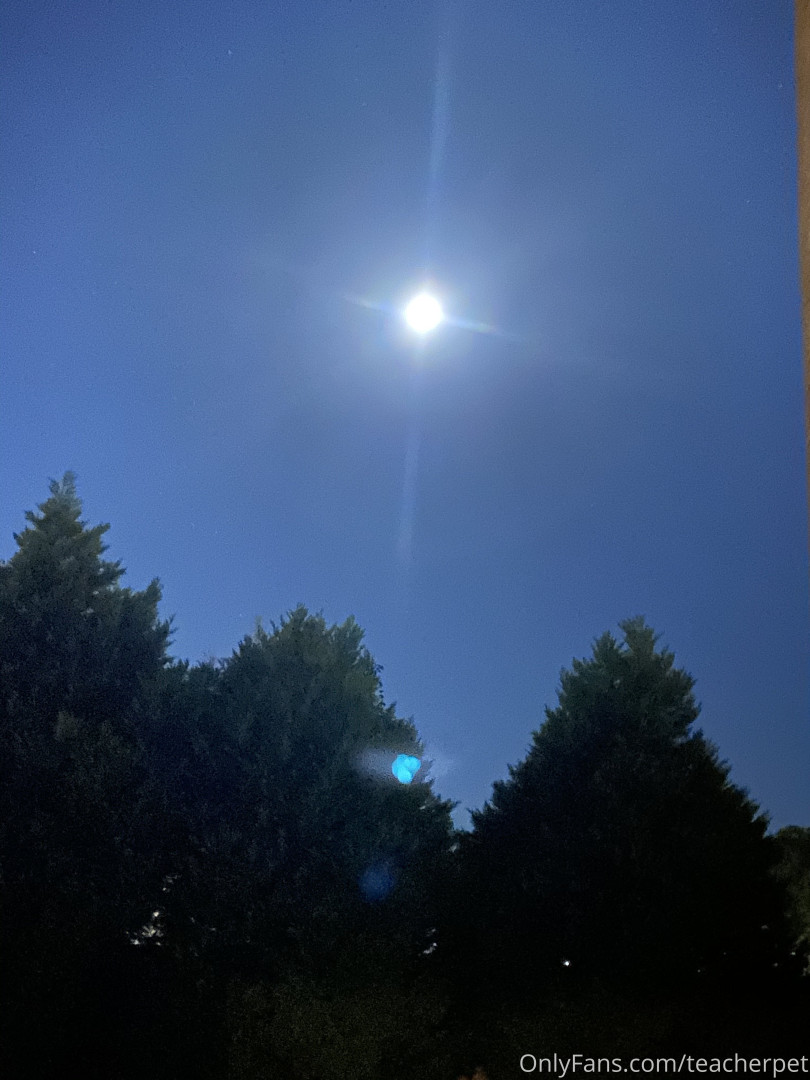 Photo by teacherpet published on May 17,2023 08:33:05 - BestThots