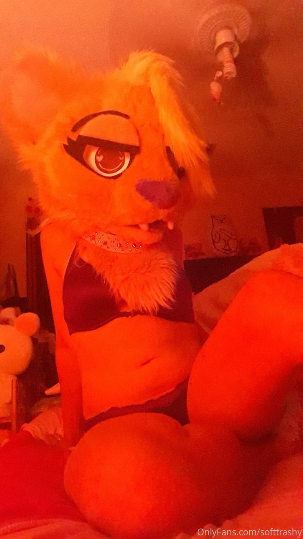 Photo by softtrashy published on June 25,2023 02:54:04 - BestThots