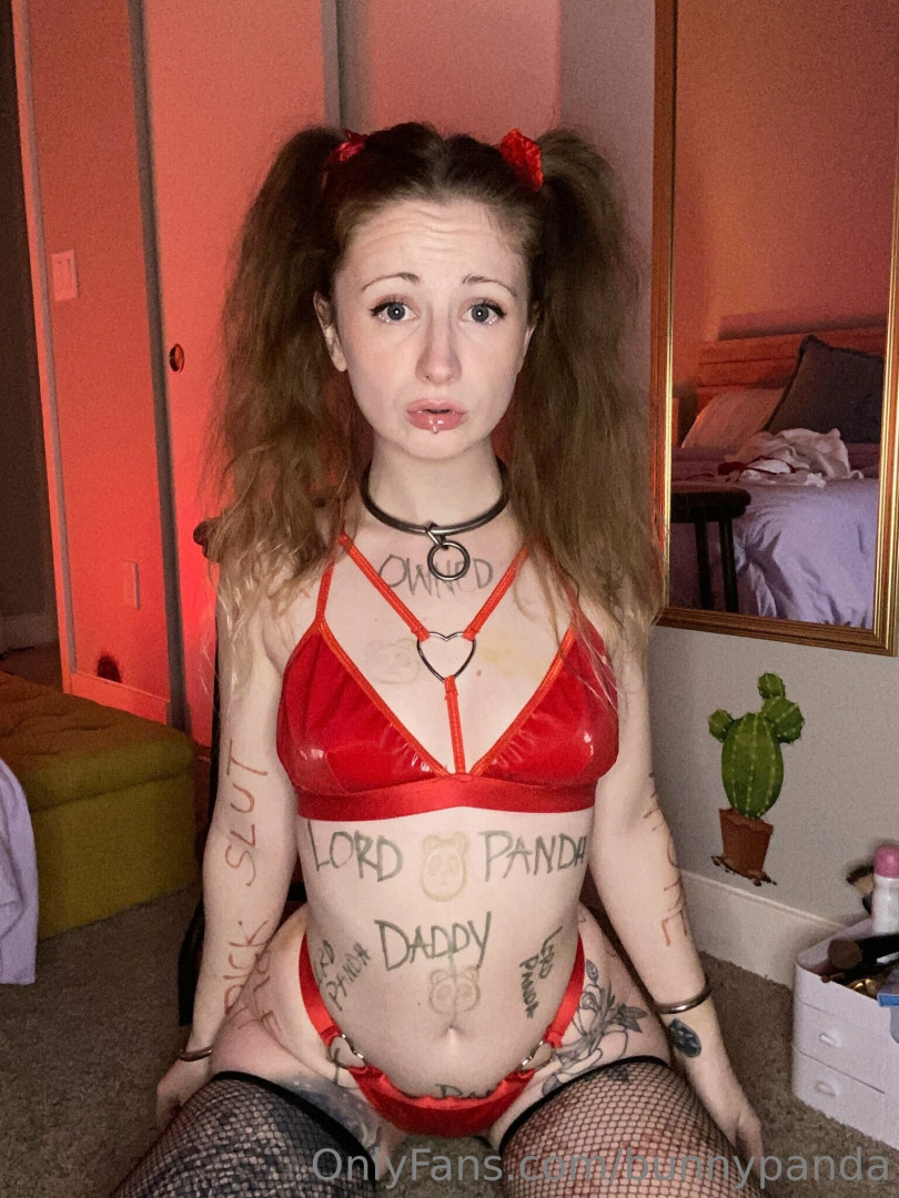 Photo by bunnypanda published on June 28,2023 18:24:08 - BestThots