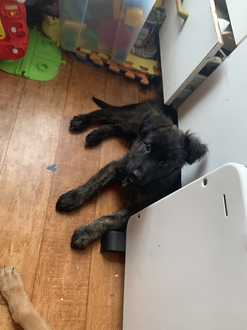 Photo by kalihaze published on May 24,2023 12:30:49 - BestThots