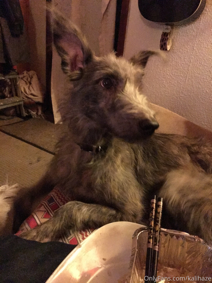 Photo by kalihaze published on May 24,2023 12:31:55 - BestThots