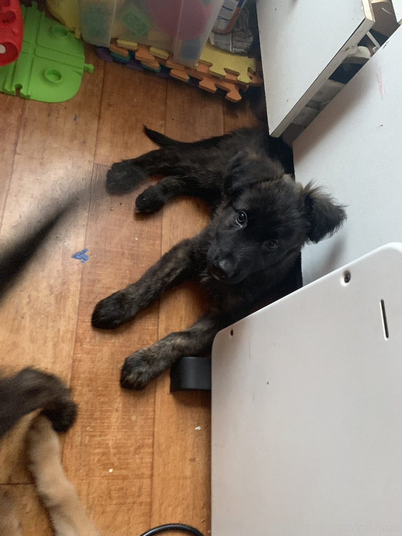 Photo by kalihaze published on May 24,2023 12:38:06 - BestThots