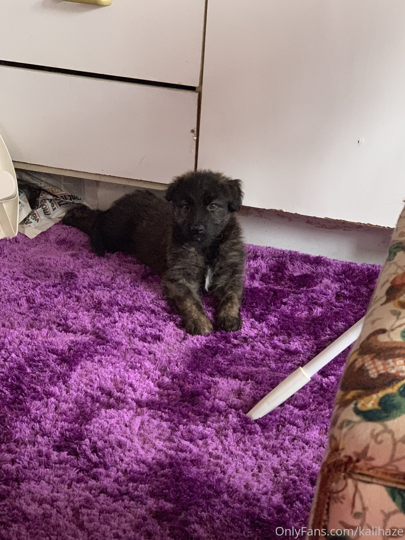 Photo by kalihaze published on May 24,2023 12:38:26 - BestThots