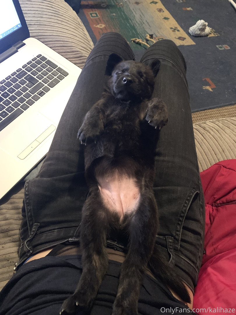 Photo by kalihaze published on May 24,2023 12:38:57 - BestThots