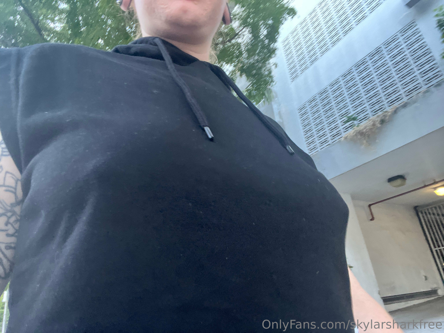 Photo by skylarsharkfree published on June 25,2023 04:46:19 - BestThots