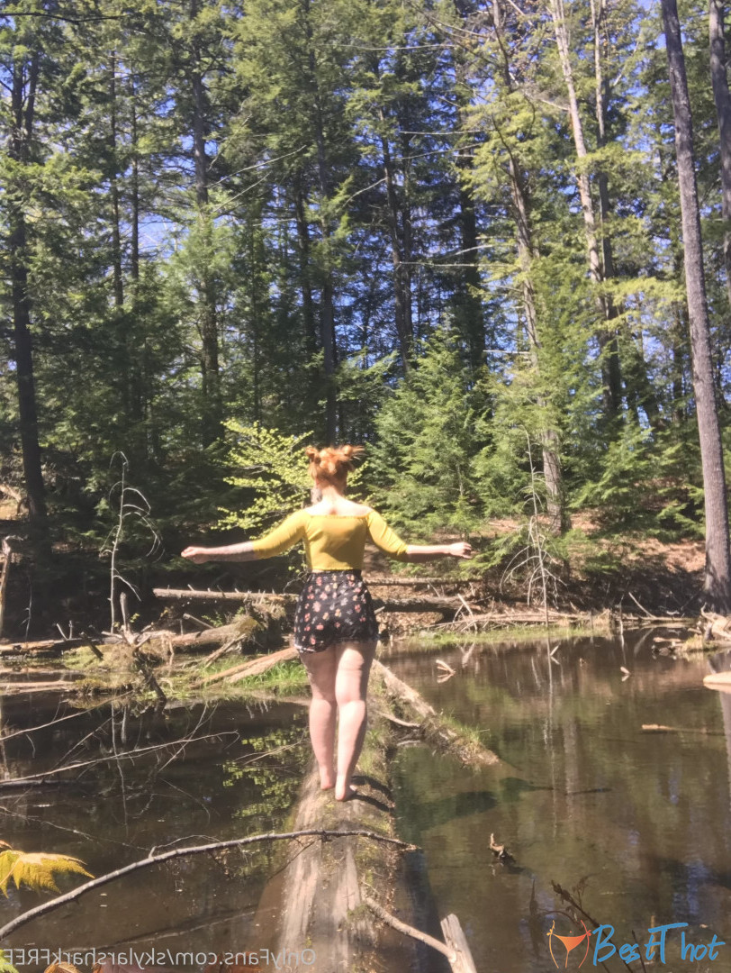 Photo by skylarsharkfree published on December 21,2024 09:07:58 - BestThots