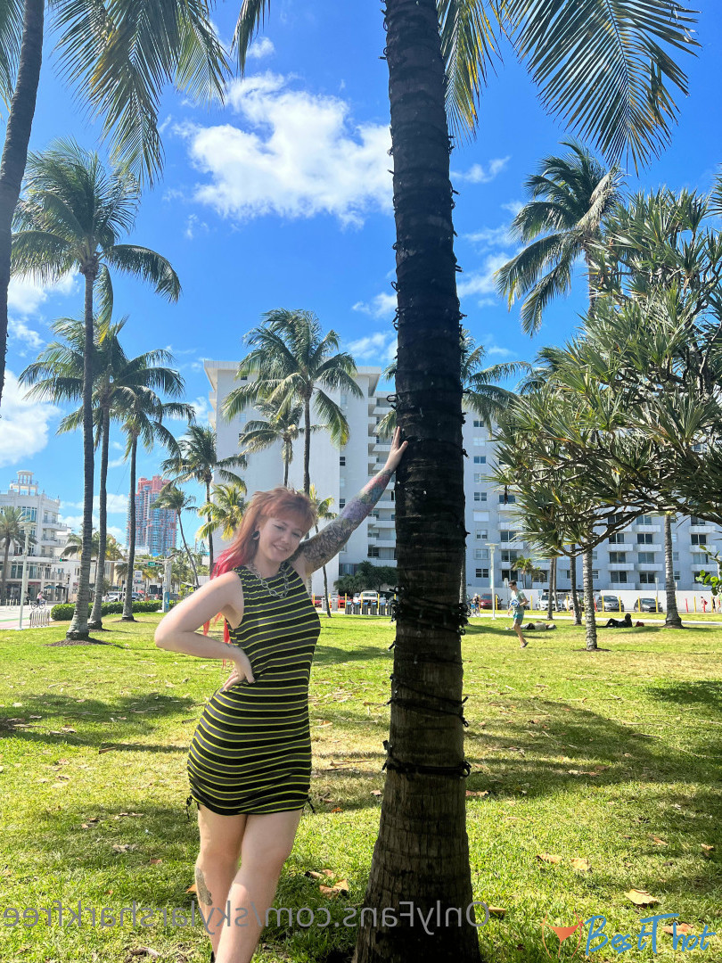 Photo by skylarsharkfree published on December 21,2024 09:09:02 - BestThots