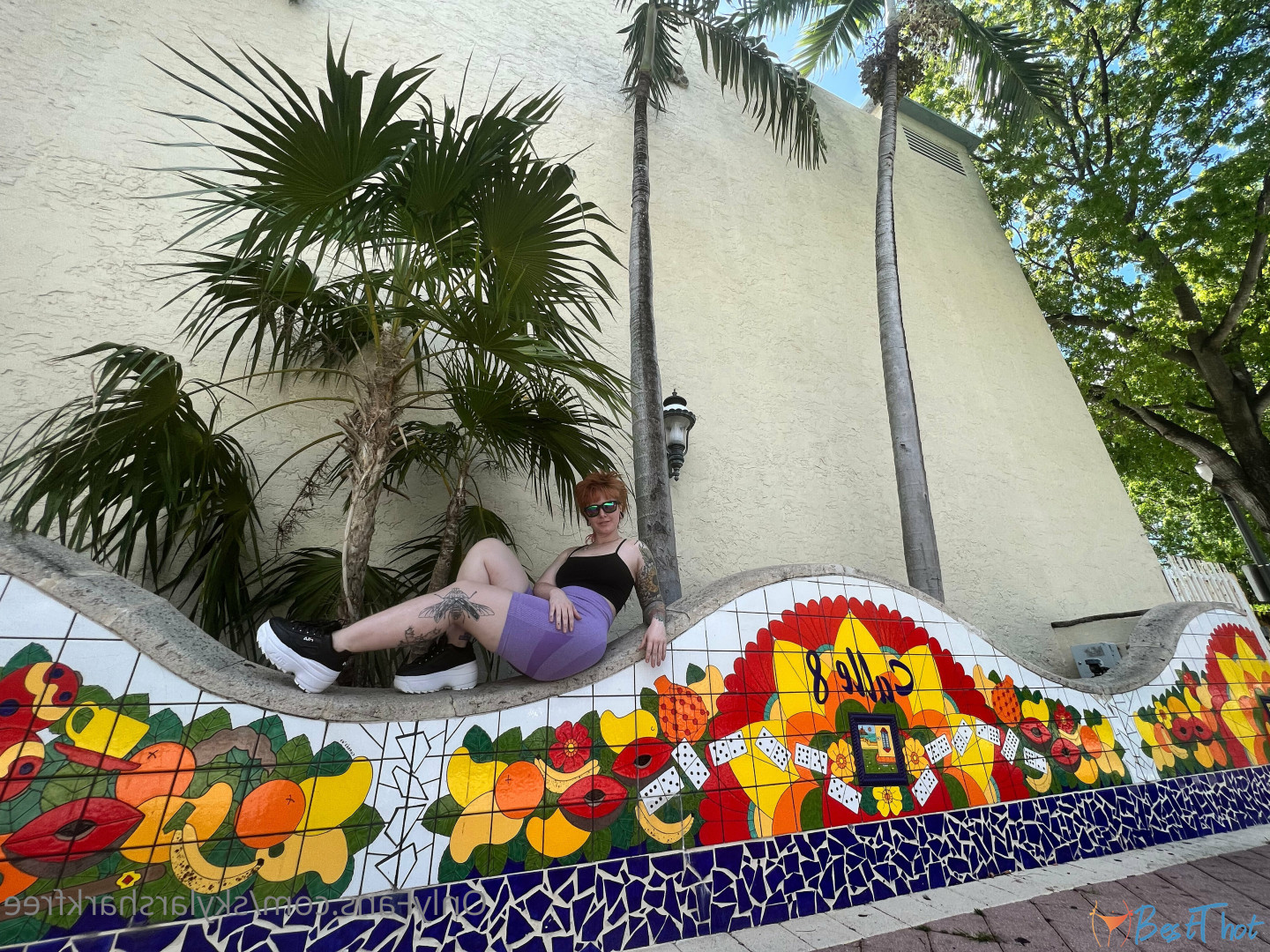 Photo by skylarsharkfree published on December 21,2024 10:07:40 - BestThots