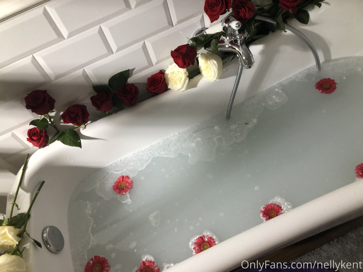 Photo by nellykent published on October 16,2023 15:02:30 - BestThots
