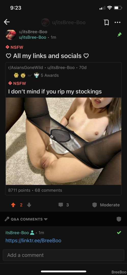 Photo by breeboo published on December 16,2023 04:38:23 - BestThots
