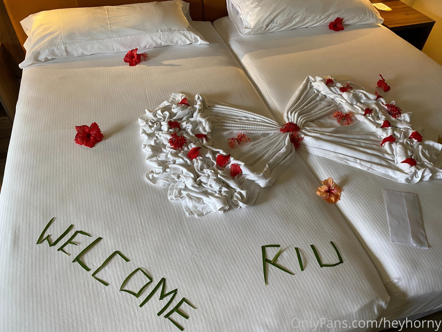 Photo by heyhorny published on October 15,2023 12:38:31 - BestThots