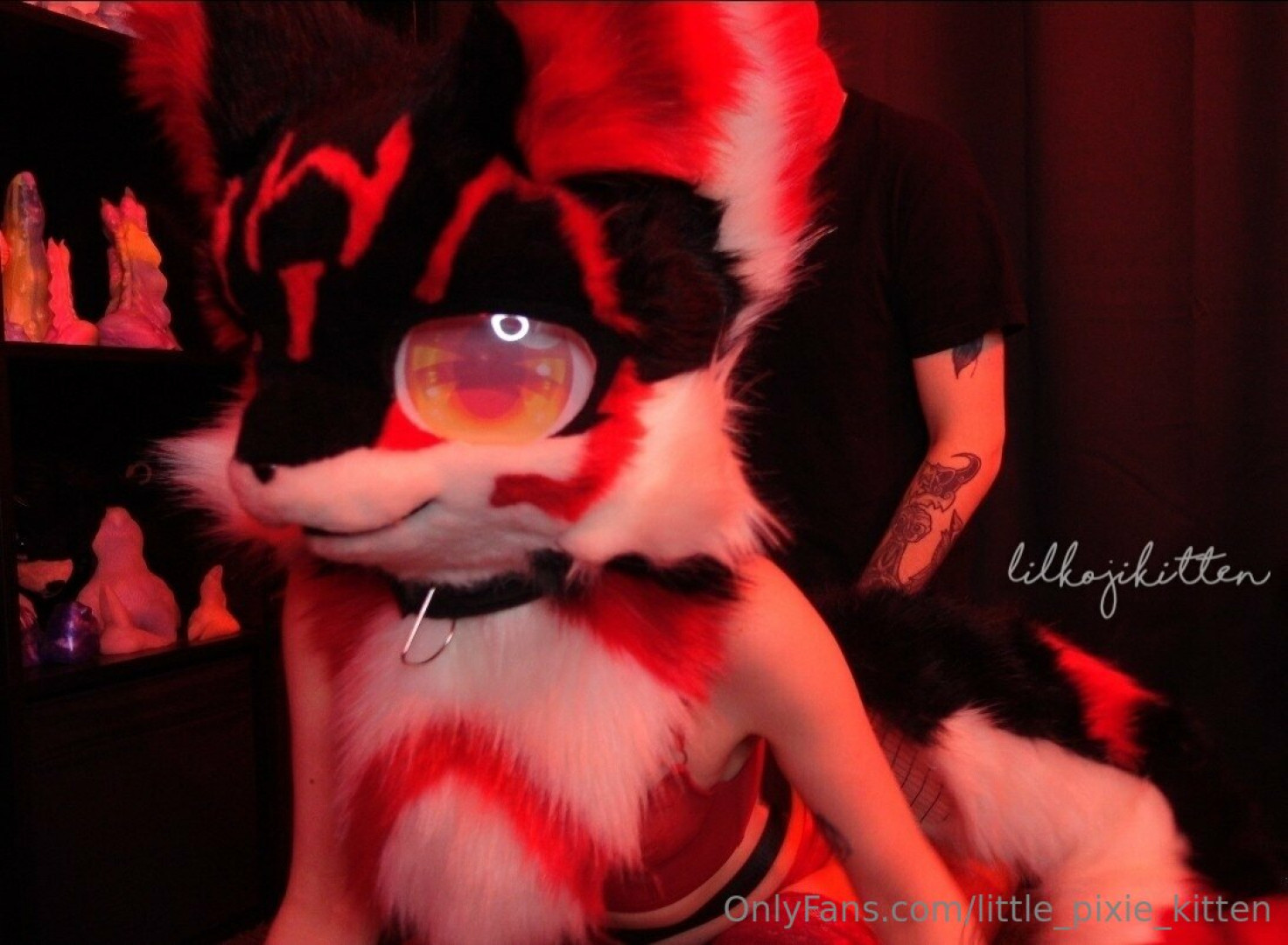 Photo by little_pixie_kitten published on November 2,2023 03:41:08 - BestThots