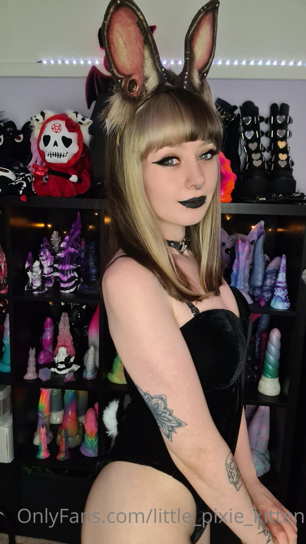 Photo by little_pixie_kitten published on November 2,2023 03:42:02 - BestThots