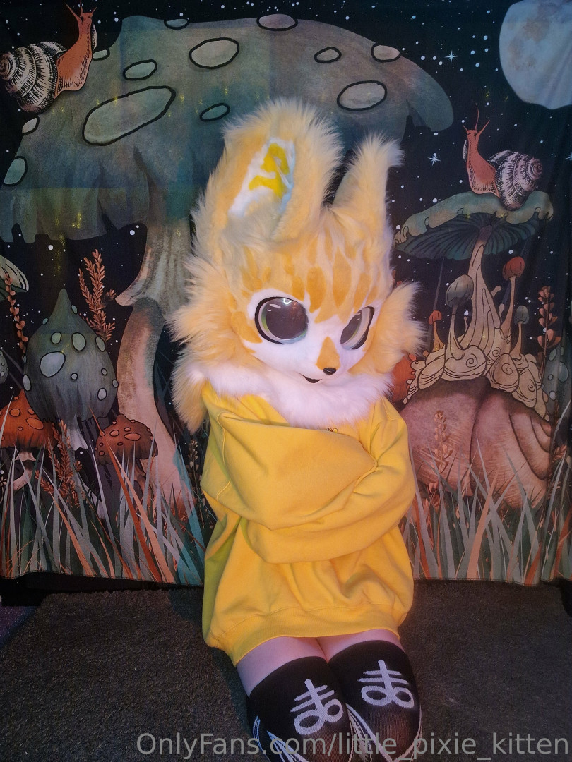 Photo by little_pixie_kitten published on November 2,2023 03:42:37 - BestThots