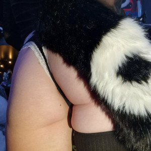 little_pixie_kitten #8276315