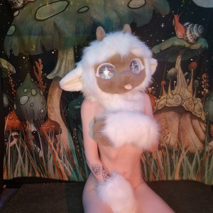 little_pixie_kitten #8276345