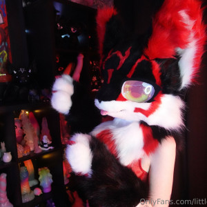 little_pixie_kitten #8276354