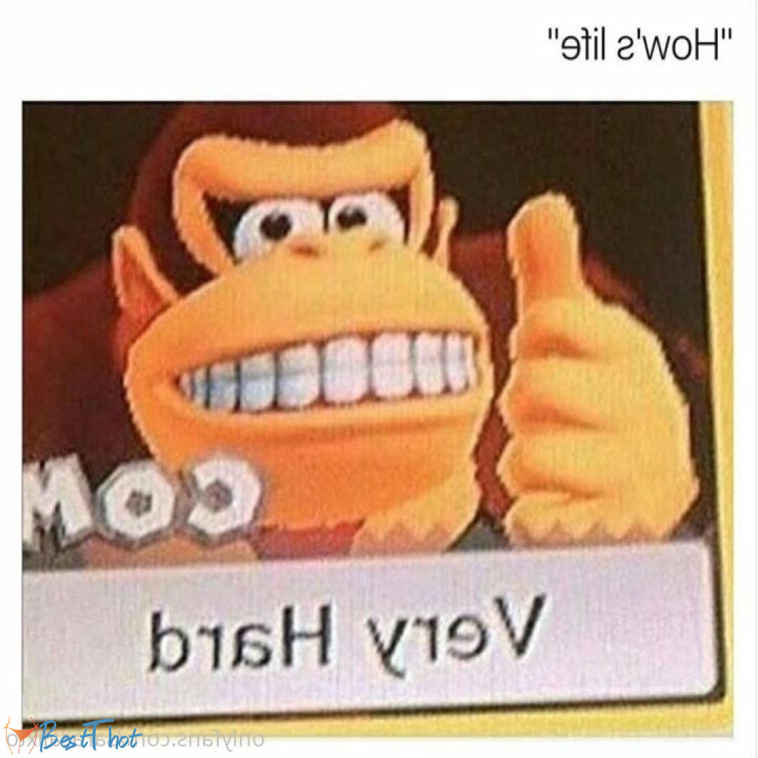 Photo by saracalixto published on December 12,2024 09:29:00 - BestThots